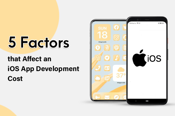 5 Factors that Affect an iOS App Development Cost