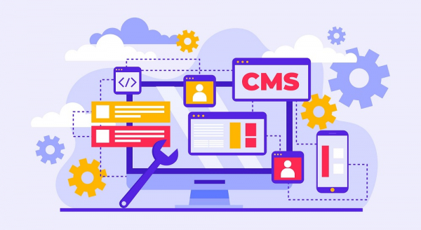 The Main Criteria for Choosing a Reliable Web Development Company in Delhi