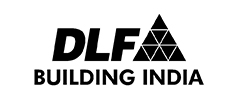 DLF