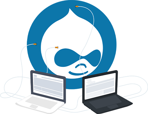 Drupal Development Company in Delhi, India